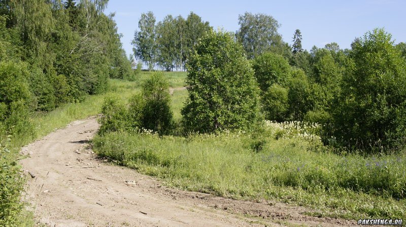 Кунаево со стороны Слюшино